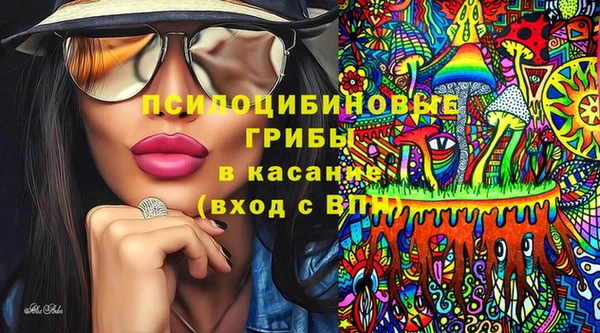 сатива Бронницы