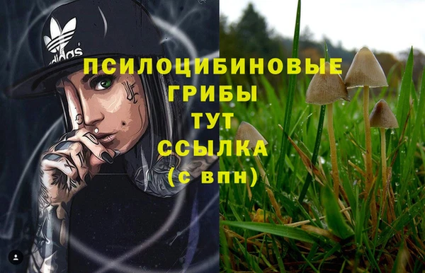 a pvp Снежинск
