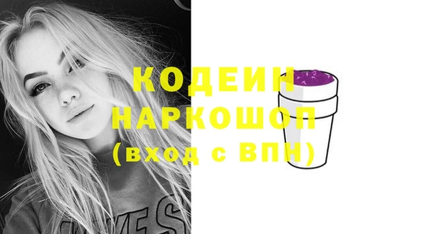 мдпв Верхний Тагил