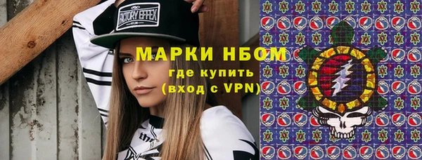сатива Бронницы