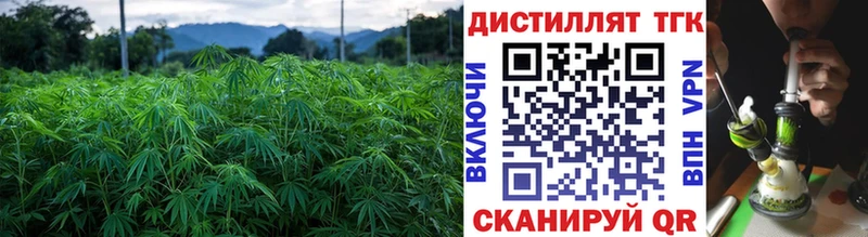 Дистиллят ТГК жижа  сколько стоит  это официальный сайт  Семёнов 