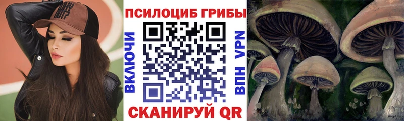 купить закладку  Семёнов  Галлюциногенные грибы MAGIC MUSHROOMS 