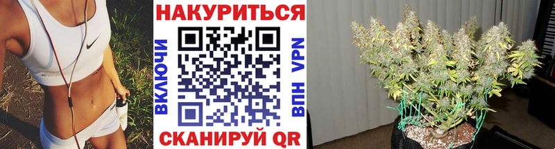Шишки марихуана семена  гидра вход  Семёнов 